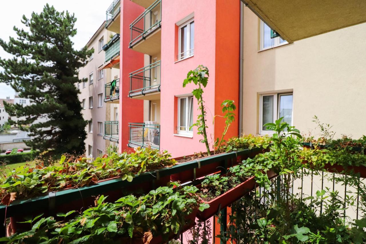 Cozynite Premium Apartment Schoenbrunn 2 Вена Экстерьер фото